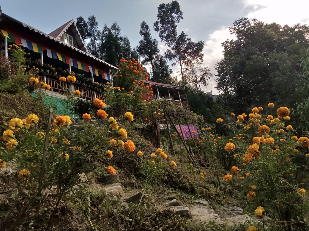 Darjeeling Offbeat Homestay – Mineral Spring