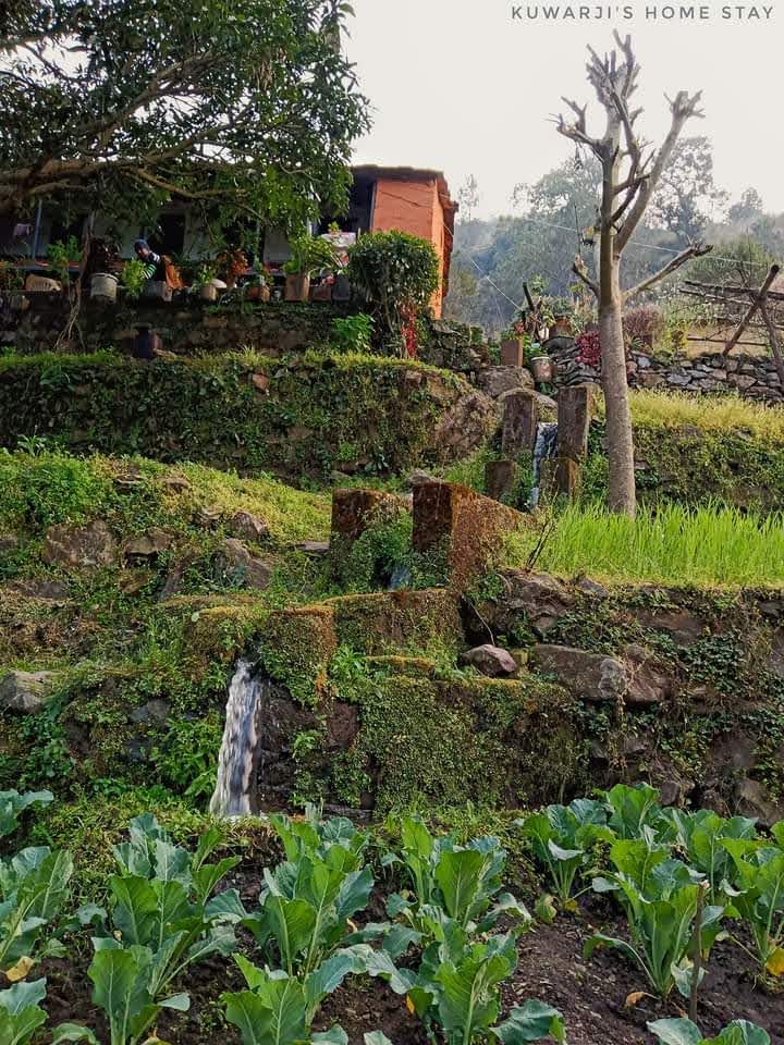 Pauri Garhwal Circuit gallery image 2