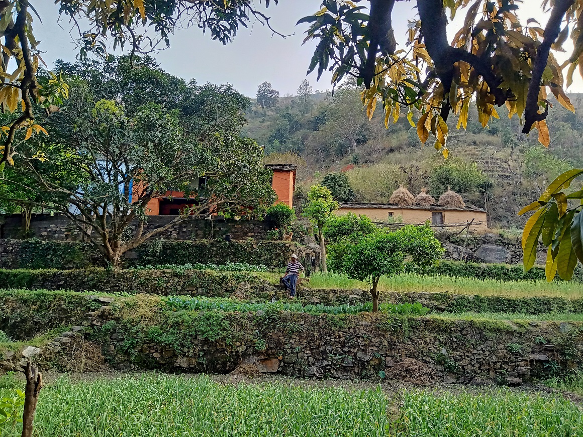 Pauri Garhwal Circuit gallery image 4