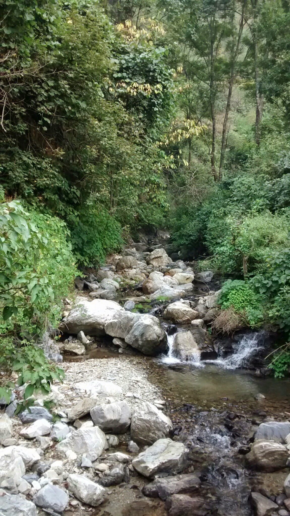 Sacred Urgam Valley Kalpeshwar Mahadev Tour
